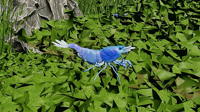 Shrimpscape