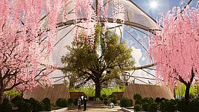 Venus: Build Your Destiny