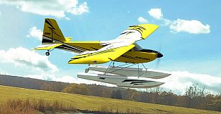 RealFlight Evolution - 2024 Year Content Pass