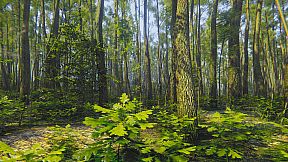 Mindfulness Simulator - ASMR Meditation Game