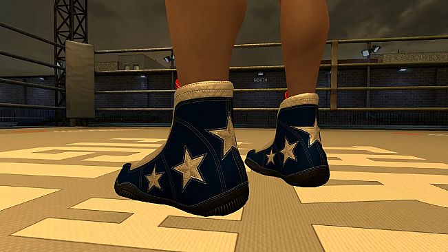 The Thrill Of The Fight 2 - 4th of July Shoes