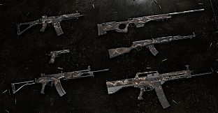 Insurgency: Sandstorm - Year 4 Pass