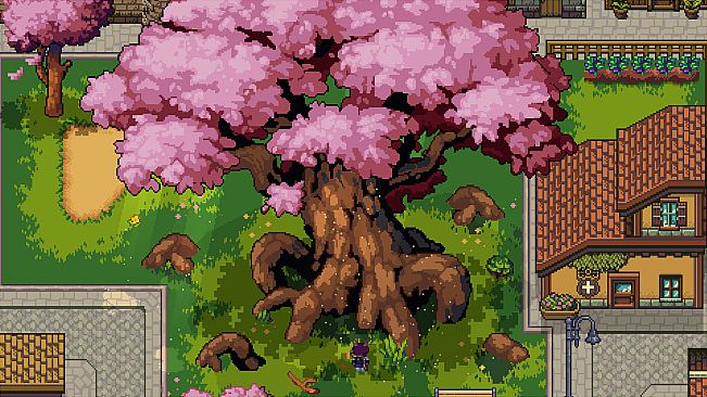 Echoes of Aromia