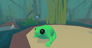 Focus Froggy