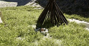 Survive 10,000 B.C.