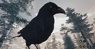 Witchwedge