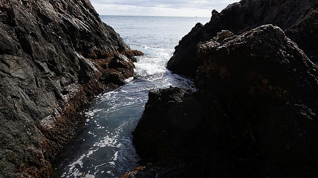 Get Lost In Nature With Luke