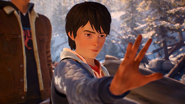 Life is Strange 2 - Episodes 2-5 bundle