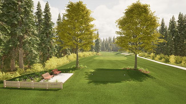 Playa Golf