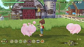 STORY OF SEASONS: A Wonderful Life