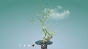 Tree Bonsai