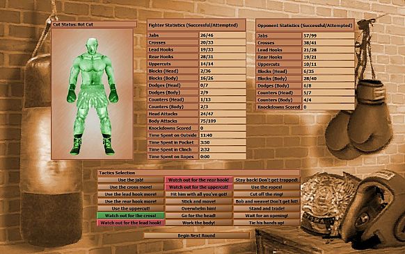 World Boxing Manager