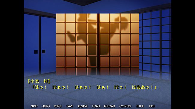 他の男の精液で孕むとき２ ―　障子に映る、快感に悶え狂った妻の影　―