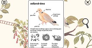 Little Mouse's Encyclopedia + Clumsy Rush