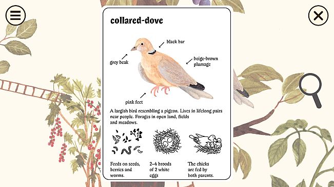 Little Mouse's Encyclopedia + Clumsy Rush