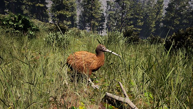 Icarus: Matariki Mission