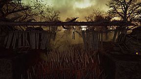 Adele: Following the Signs