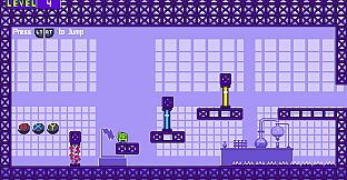 RainForest Game Studio Bundle 01