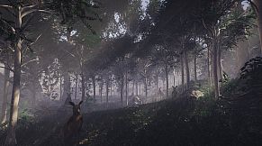 Call of the Golden Valley