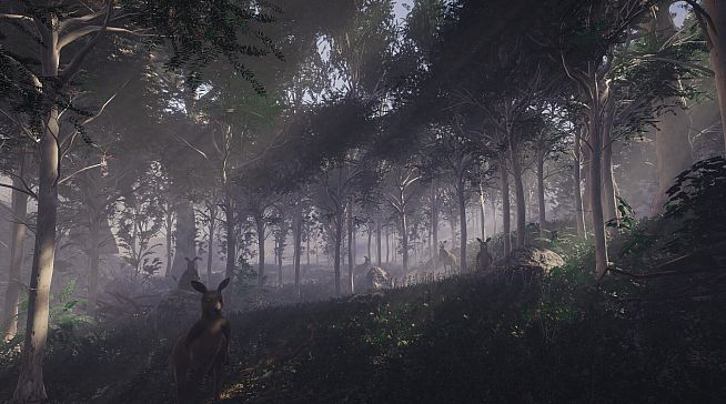 Call of the Golden Valley