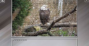 Super Jigsaw Puzzle: Generations - Random Animals 4