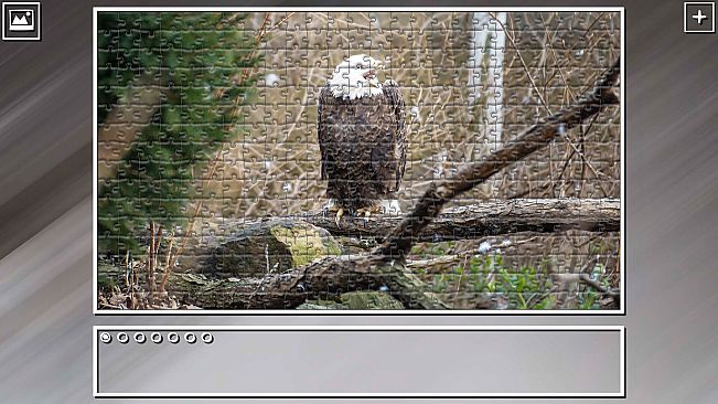 Super Jigsaw Puzzle: Generations - Random Animals 4