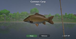 Fishing Spot