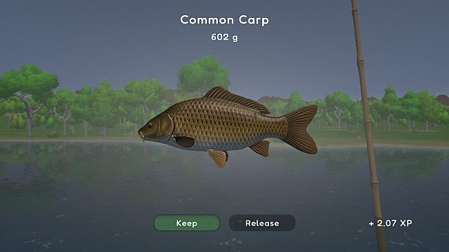 Fishing Spot