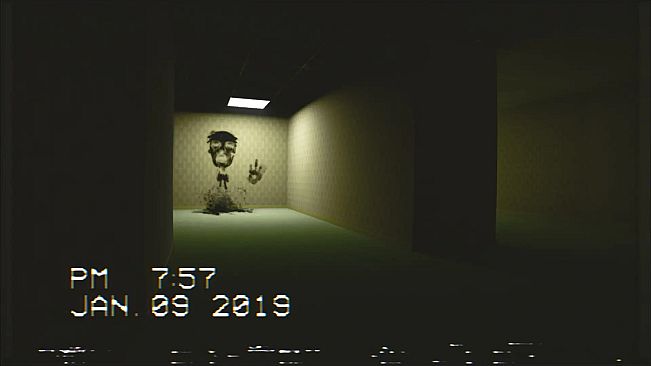 The Backrooms Footage