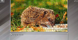 Super Jigsaw Puzzle: Generations - Random Animals 5