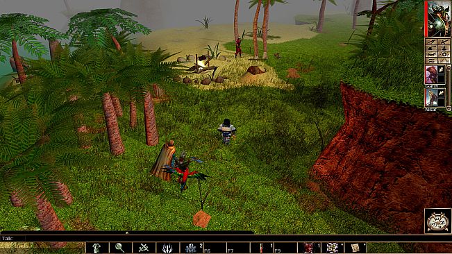 Neverwinter Nights: Pirates of the Sword Coast