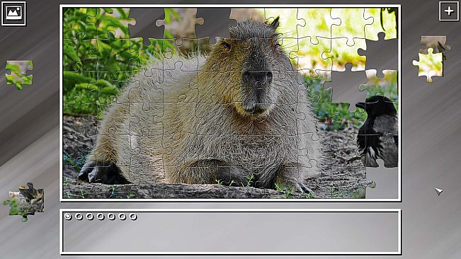 Super Jigsaw Puzzle: Generations - Random Animals 2