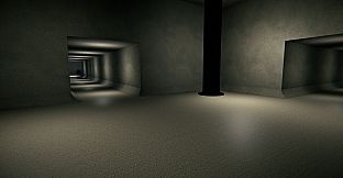 Observation Protocol: The Observed