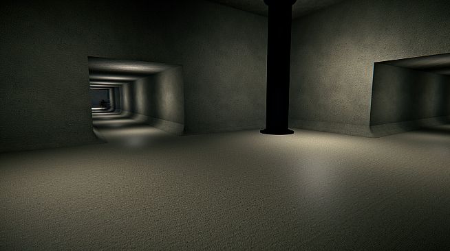 Observation Protocol: The Observed
