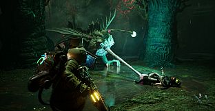 Elderfeast