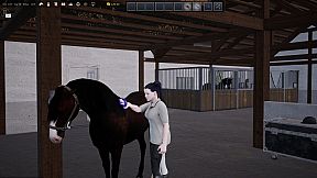 Unbridled: That Horse Game