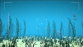 Pelagos: A Marine Adventure