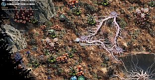 Mycelium Conquest