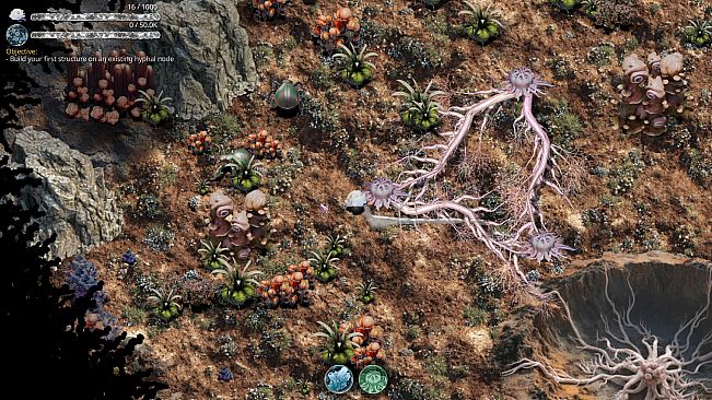 Mycelium Conquest