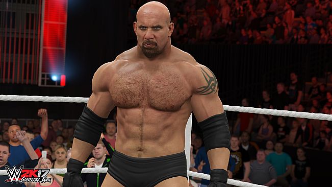 WWE 2K17