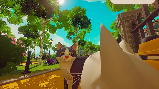 Pawbay: Cat Chaos