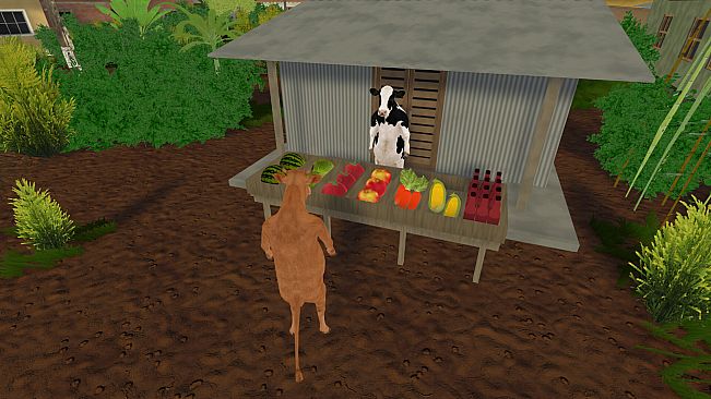 Cow's Heart