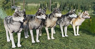 WolfQuest Anniversary - Building Character Pack