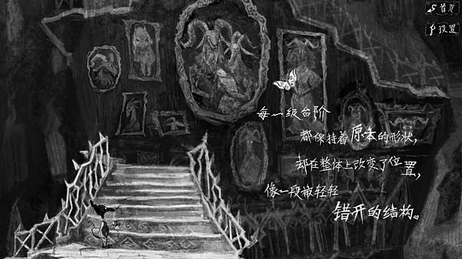 The Collection藏品