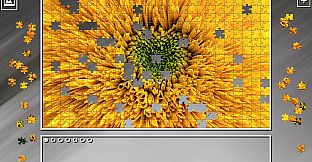 Super Jigsaw Puzzle: Generations - Random 5