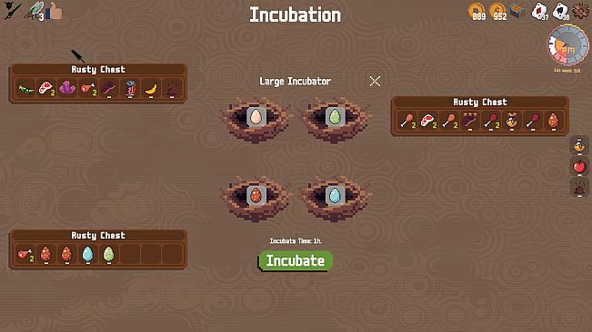 Square Colosseum: Cell B201