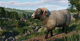 Planet Zoo: Barnyard Animal Pack