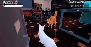 The Office Cat
