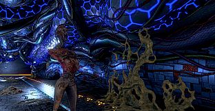 Project: Gorgon VIP Membership