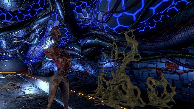 Project: Gorgon VIP Membership